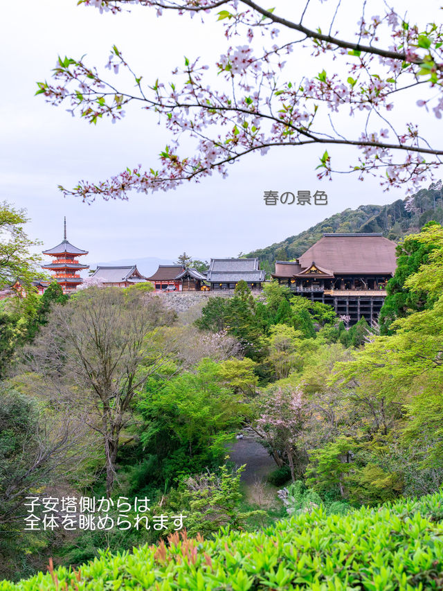 混んでいても行きたい京都の定番【清水寺】