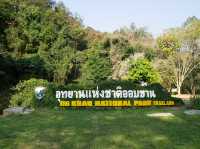 Great Nature Getaway Near Chiang Mai 