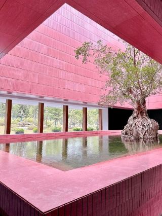 Stay at the Pink Banyan Tree Resort for $1299 with 4 meals included.