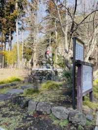 【宮城県】伊達家の菩薩寺　瑞巌寺