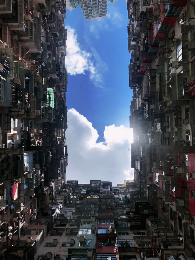 Monster Buildings in Quarry Bay