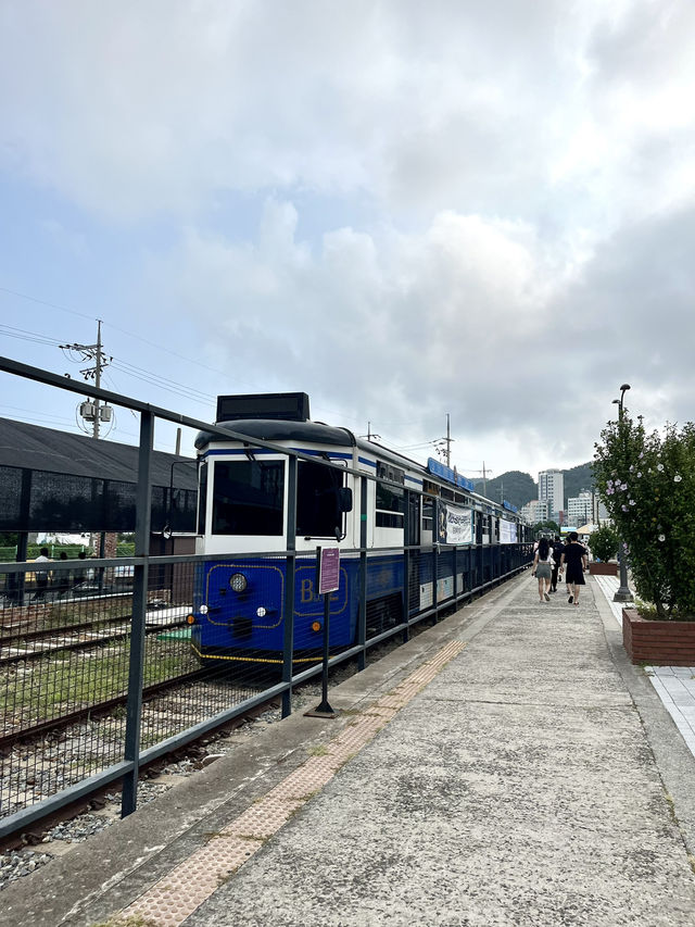 🔆부산 : 바다를 보며 달리는 바다열차 “블루라인파크”🚋