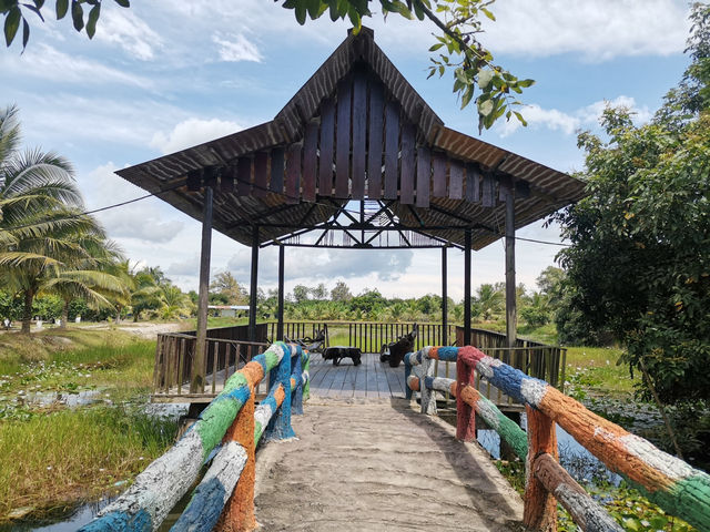 Desaru Fruit Farm: A Tropical Delight 🍍🍓