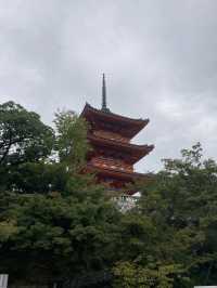 🇯🇵京都一日遊：靜靜感受古都的魅力⛩️