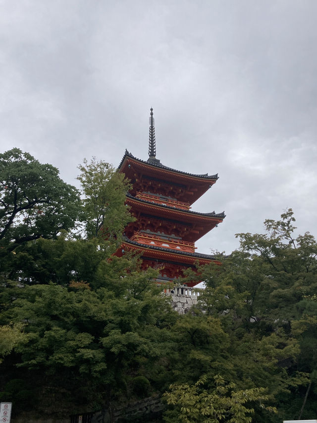 🇯🇵京都一日遊：靜靜感受古都的魅力⛩️