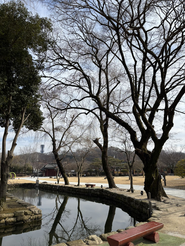 겨울 남원에서 꼭 가야하는 광한루✔️