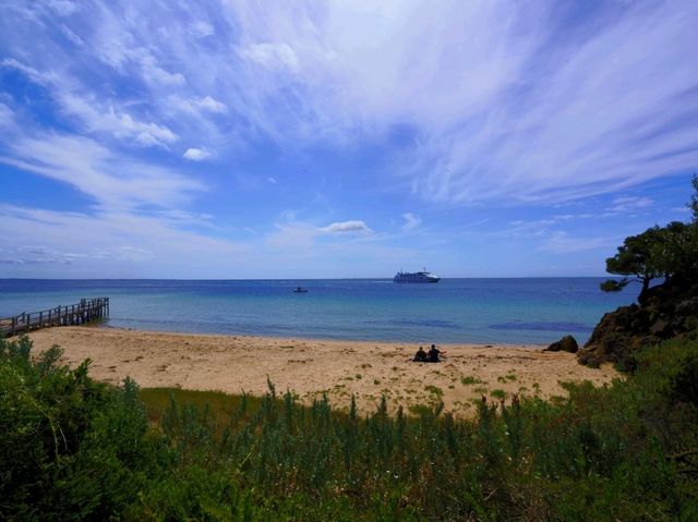 Sun-Kissed Shores & Pinot Dreams: A Mornington Peninsula Escape