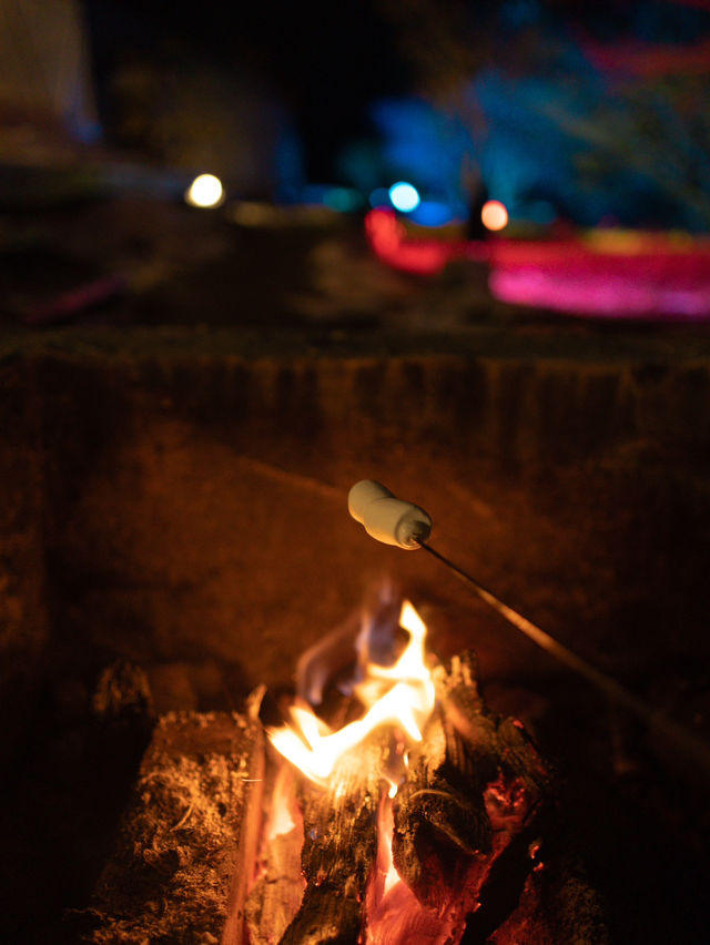 【山口】初心者にもおすすめな絶景グランピング🏕️