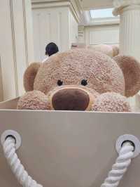 中國 上海 小熊飲料🐻
