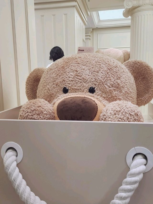 中國 上海 小熊飲料🐻