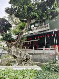 The Temple of the Six Banyan Trees
