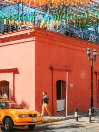 かわいいが止まらない街オアハカ🌵🇲🇽💘