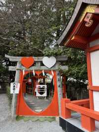 【福岡観光】御神木の大きさに驚き🌳地元で愛される神社⛩