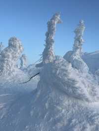 แพลนเดินทางไปเมือง Zao Onsen ดูปีศาจหิมะ