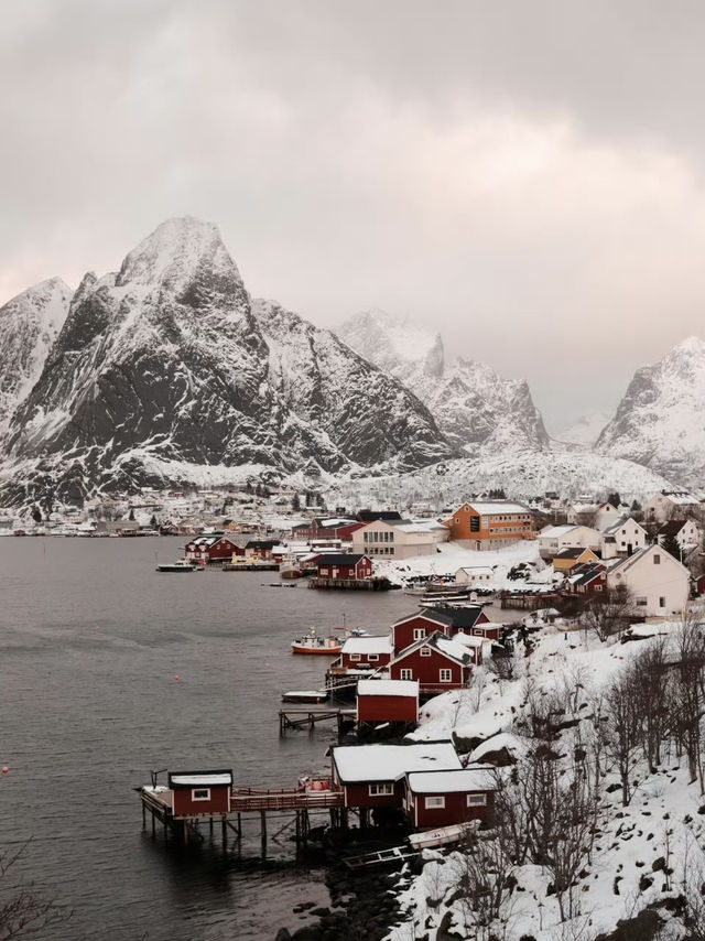 🇳🇴 Winter Magic in Reine: A Colorful Arctic Escape