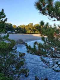 松の緑と紺碧の海が調和する見事な景勝地