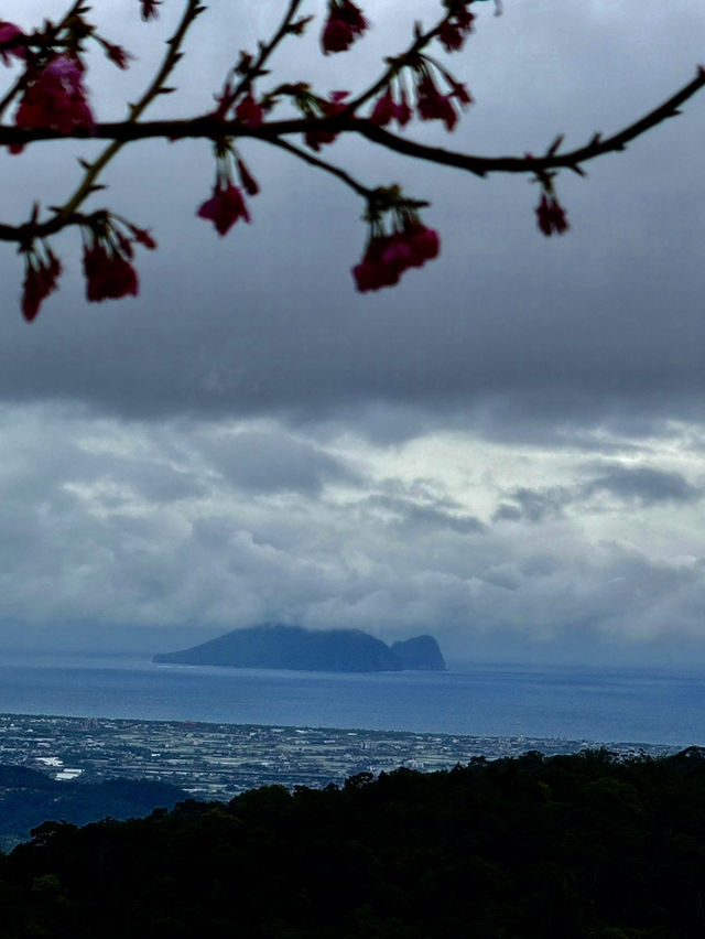 宜蘭縣員林鄉賞櫻及法式美食輕旅行