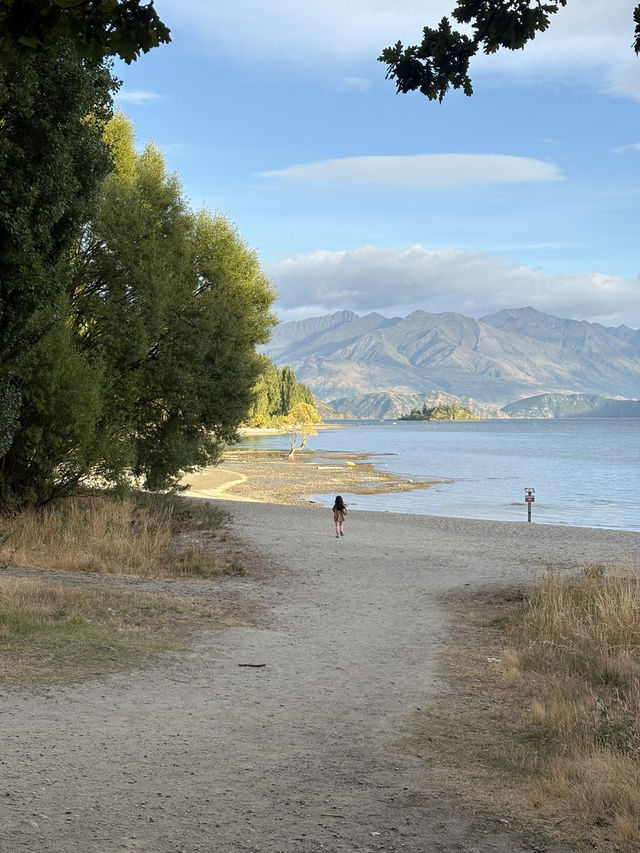 紐西蘭🇳🇿 瓦納卡 來看全世界最孤獨的樹 #thatwanakatree 清晨野餐大推👍