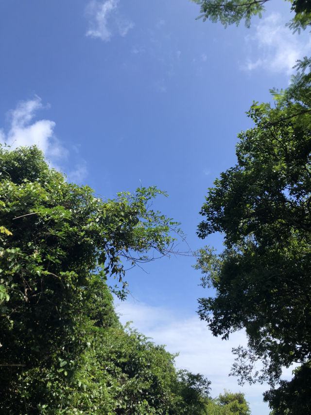 香港好去處#新手行山#輕鬆郊遊-鶴咀秘景