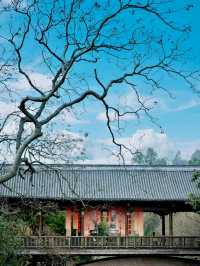 The Four Guild Halls: Preserving Hakka Heritage and Ancient Architecture
