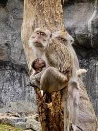 去新竹市立動物園重拾童趣