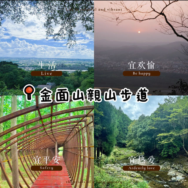 金面山親山步道🌿與青山綠水共舞