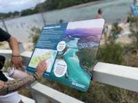 🇦🇺｜ゴールドコーストの隠れた楽園：Tallebudgera Creek