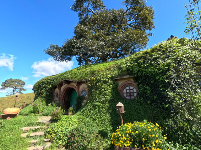 紐西蘭  霍比特村（Hobbiton）旅遊全攻略：魔戒迷必訪的中土世界秘境！