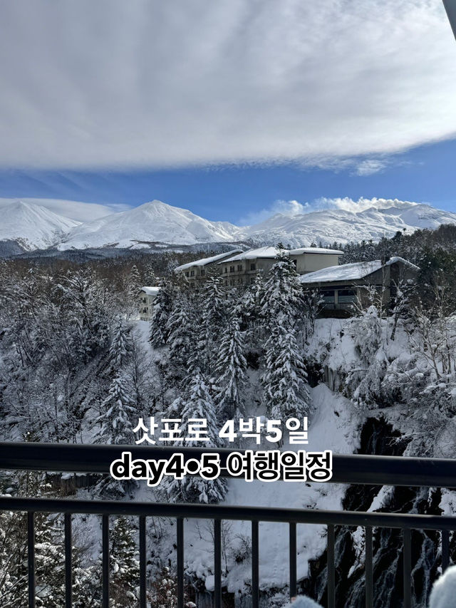 삿포로 4박5일 DAY4/5 여행일정