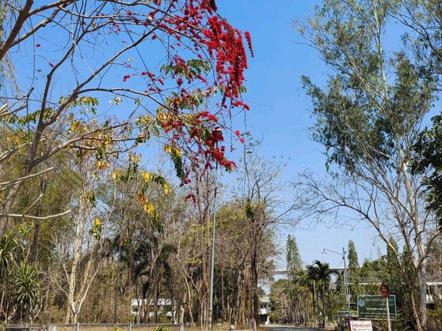 เส้นทางศึกษาธรรมชาติ สวนป่า  มวกเหล็ก 