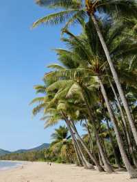 魅力無窮的Palm Cove：澳洲熱帶天堂之旅 🌴🌊