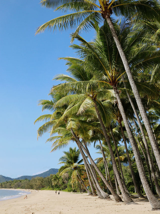 魅力無窮的Palm Cove：澳洲熱帶天堂之旅 🌴🌊