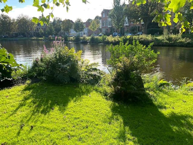Leiden Botanical Garden (Hortus Botanicus Leiden)