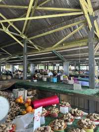 Day Trip to Nadi