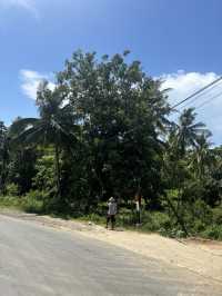 Why Driving Around Kuta Lombok Is the Best Way to Explore 🚗🌿