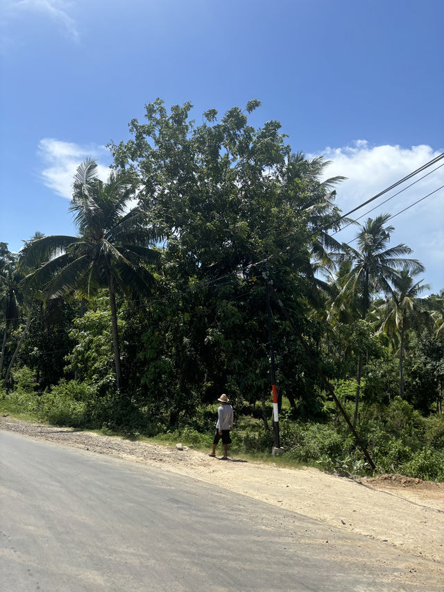 Why Driving Around Kuta Lombok Is the Best Way to Explore 🚗🌿