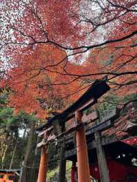 Kyoto - Điểm dừng mùa thu không thể bỏ 