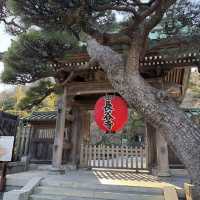  鎌倉の西方極楽浄土『長谷寺』