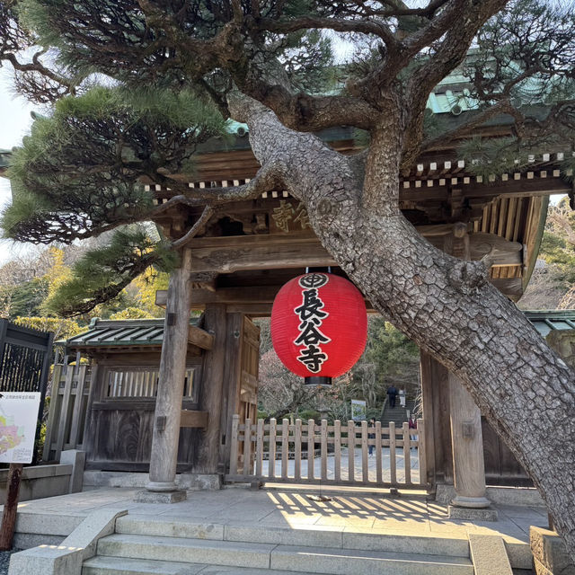  鎌倉の西方極楽浄土『長谷寺』