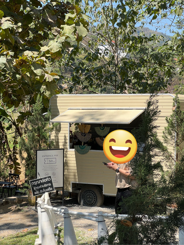 チェンマイ🇹🇭🐘と触れ合えるcafe