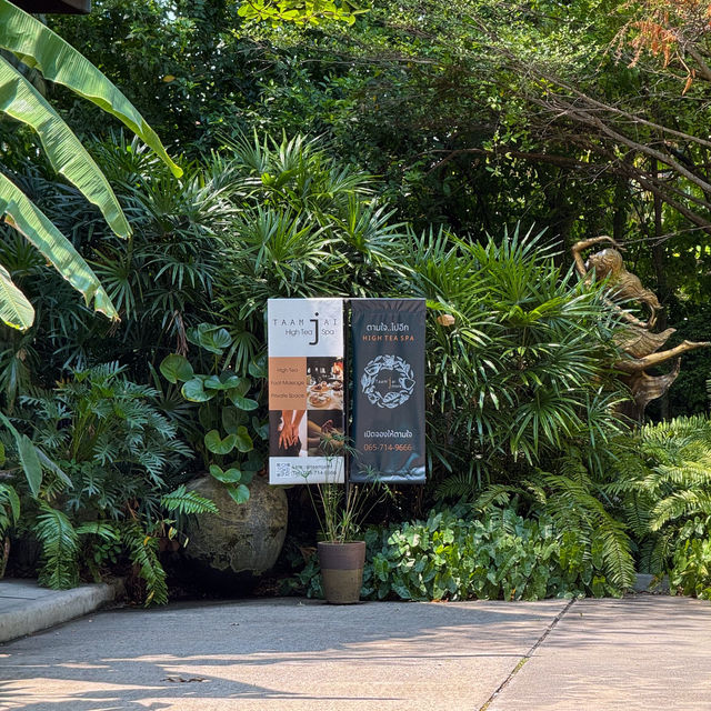 คาเฟ่กลางสวนสุดชิล บรรยากาศสุดร่มรื่นดีต่อใจ กทม 🍵