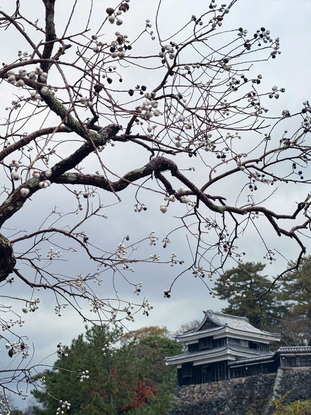 松江城天守閣：歷史與壯麗的巔峰🏯🌄