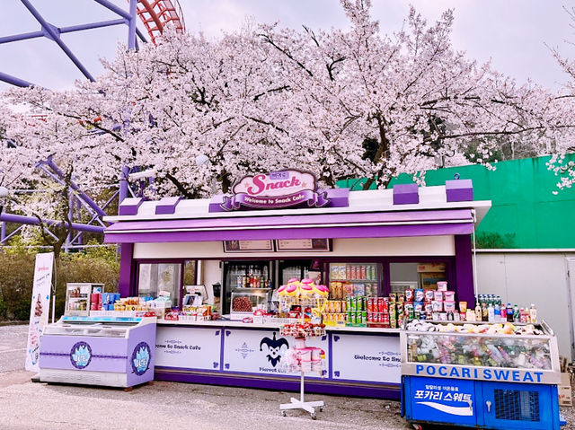 Seoulland Flower Festival Review