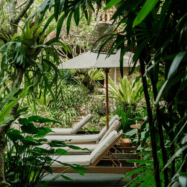 Rustic Bliss at Lumbung Sari Hotel