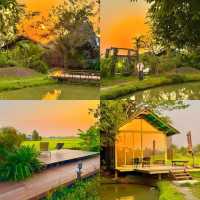 ที่พักกลางทุ่งนา #เชียงใหม่ ฟีลโคตรดี 🏠🛁🌾