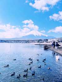 ［東京旅遊］山中湖-我最愛的富士山周圍景點🦢如果山中湖跟河口湖只能擇一的話，個人非常推薦山中湖喔🩵！