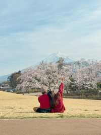 แจกแพลนเที่ยวญี่ปุ่น 4 วัน ชม Mt.Fuji & ซากุระฉ่ำๆ