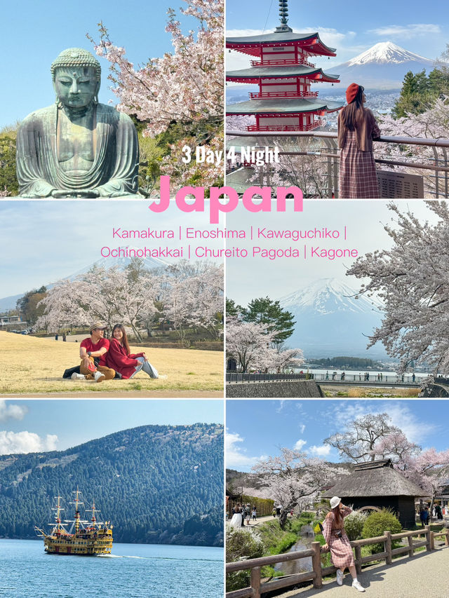 แจกแพลนเที่ยวญี่ปุ่น 4 วัน ชม Mt.Fuji & ซากุระฉ่ำๆ