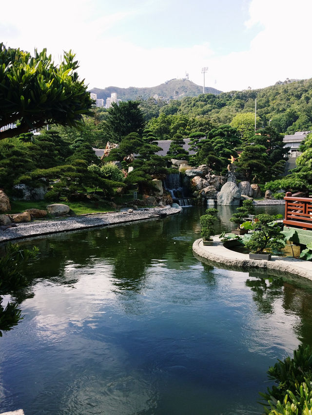 南蓮園池，鬧市中的靜土🌳
