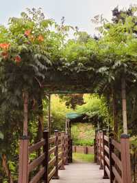 Spring's Hidden Botanical Treasures 